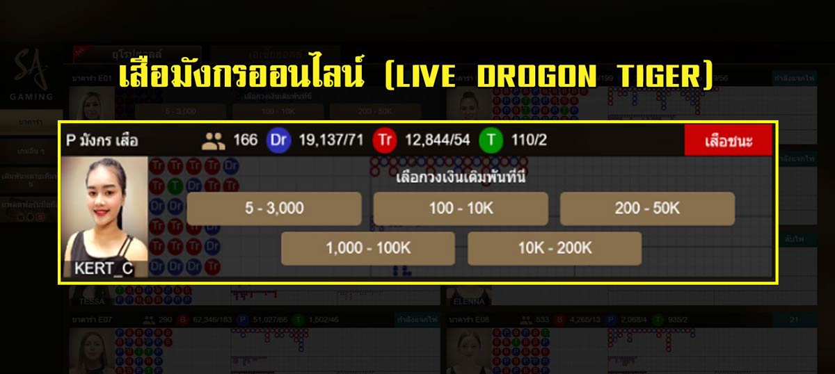 live dragon tiger