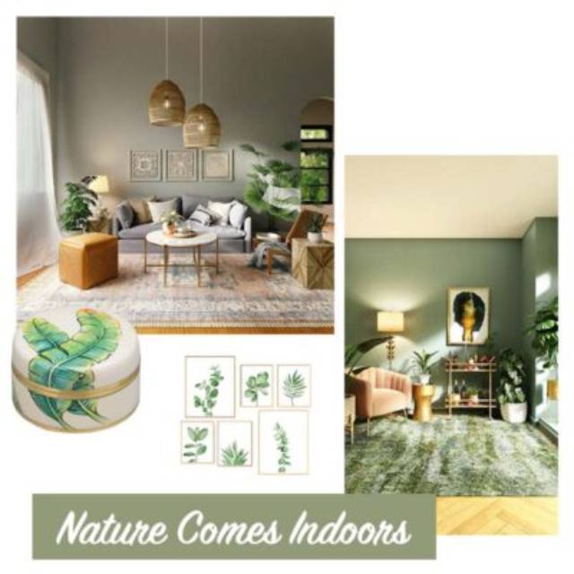 Nature Comes Indoors
